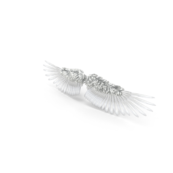 beautiful angel wings png
