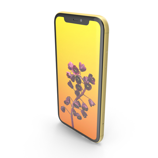 Download Yellow Omnidirectional Arrows Off White iPhone 11