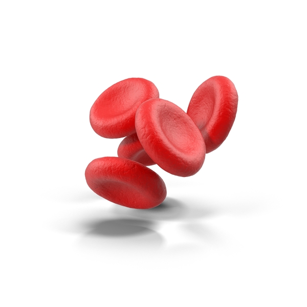Blood Cells PNG Images & PSDs for Download | PixelSquid - S100024032