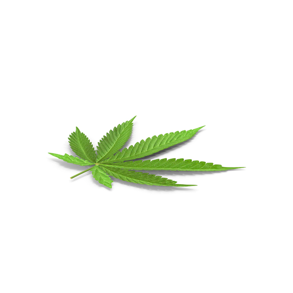 weed leaf png