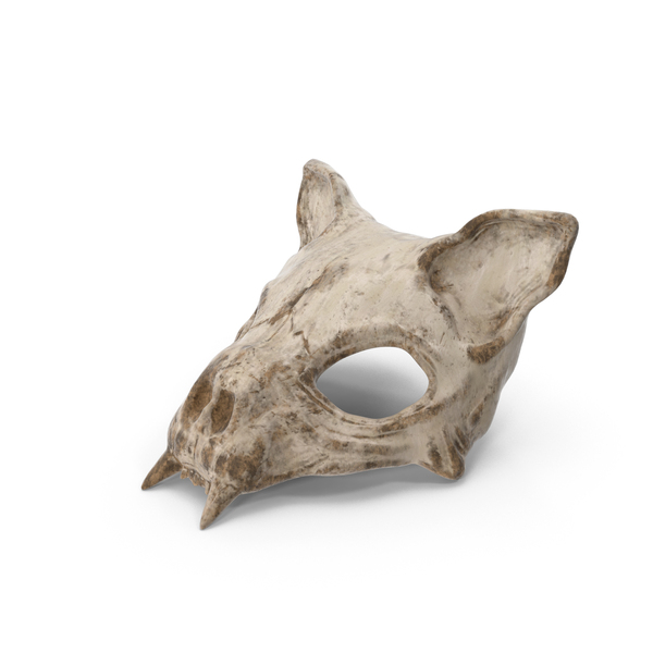 Cat Skull Mask PNG Images & PSDs for Download | PixelSquid - S11702734A