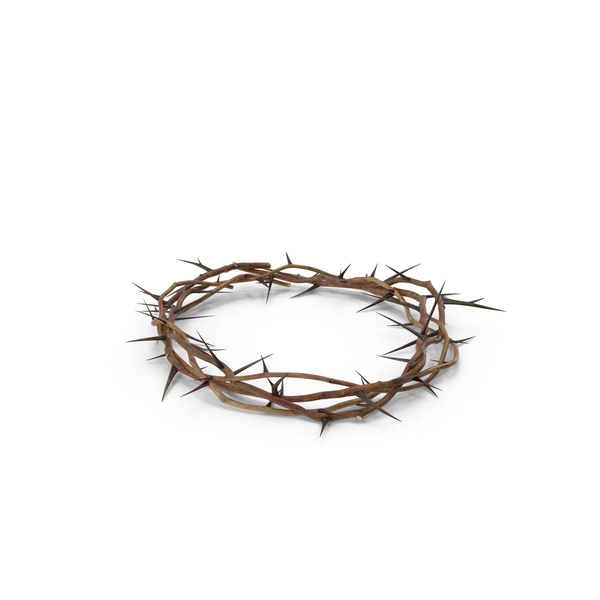 Crown Of Thorns Stock Illustration - Download Image Now - Crown Of