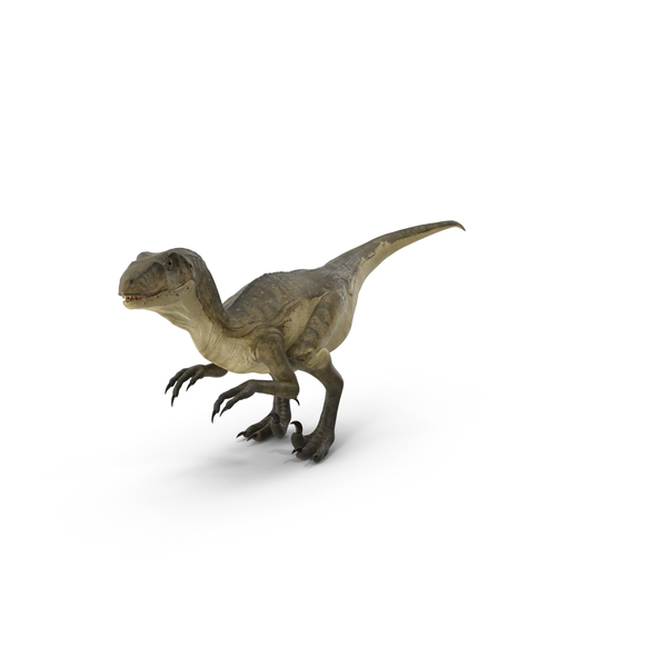 Deinonychus Royalty-Free Images, Stock Photos & Pictures