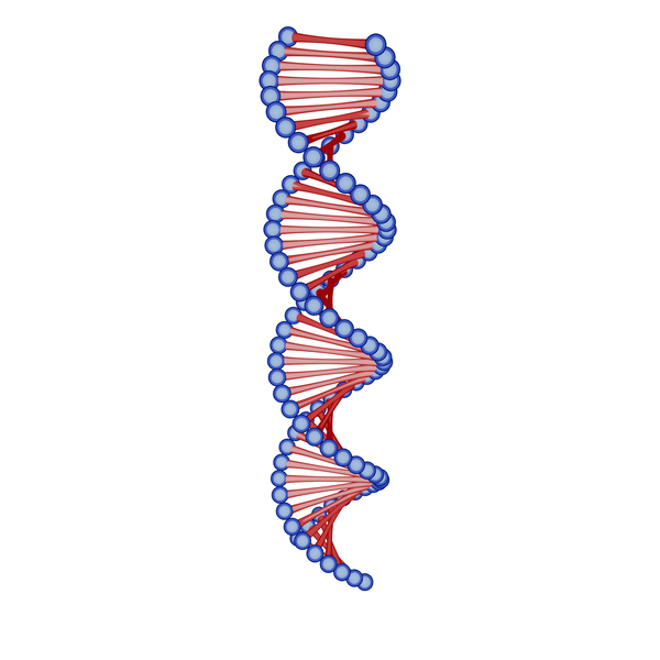 DNA Cartoon PNG Images & PSDs for Download | PixelSquid - S112657971