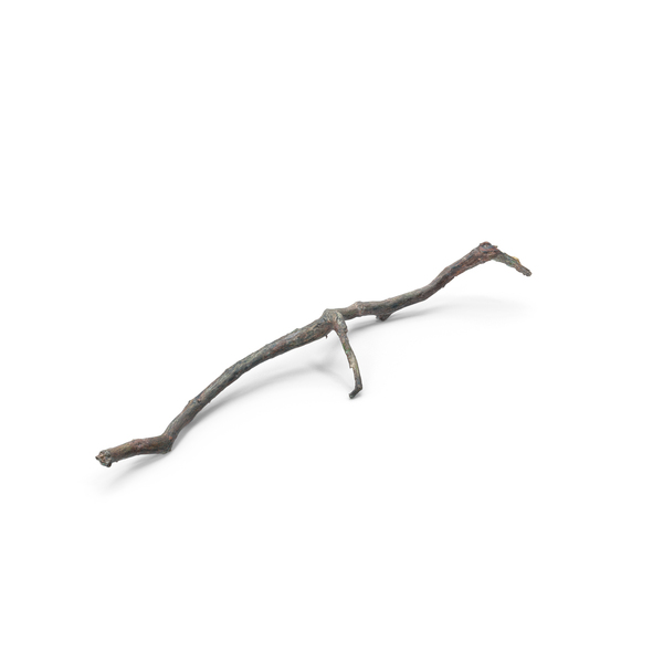 Fallen Branch PNG Images & PSDs for Download