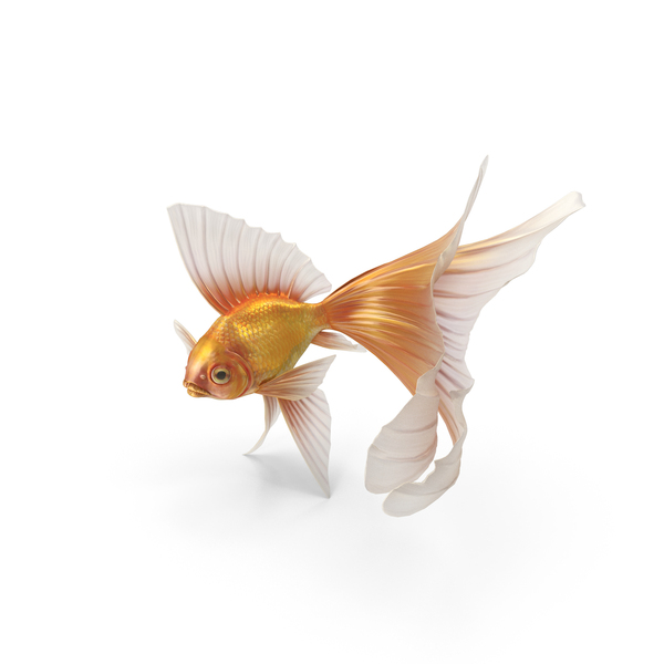 【純日本製】Goldfish object 生き物