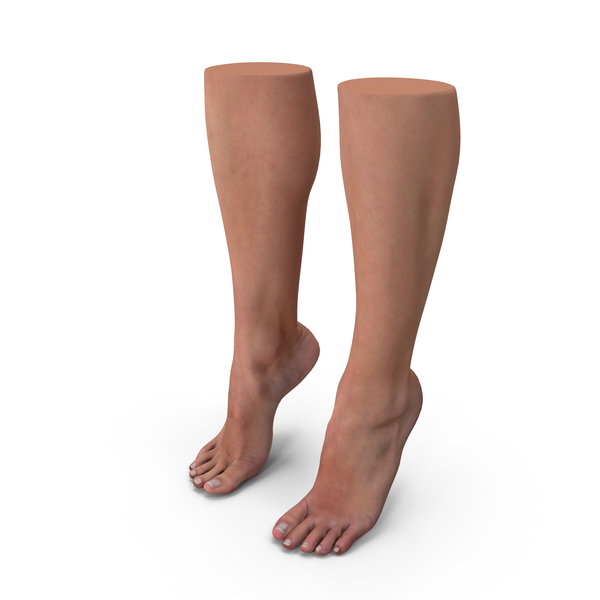 File:Female feet 2.jpg - Wikipedia