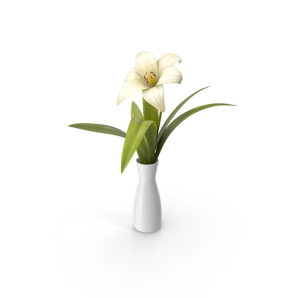 Flower In A Vase Png Images Psds For