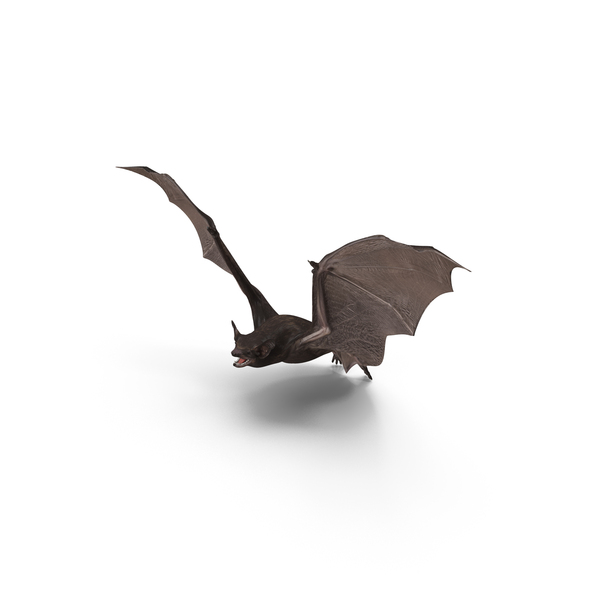 Flying Black Bat PNG Images & PSDs for Download | PixelSquid - S117108078