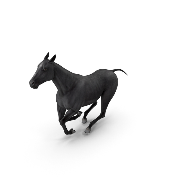 Gallop Black Horse PNG Images & PSDs for Download | PixelSquid - S11344815D