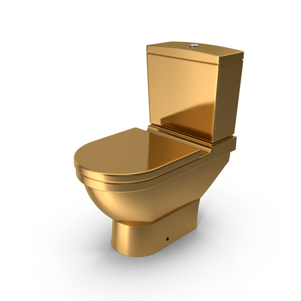 Golden Toilet Bowl In Wc Stock Photo - Download Image Now - Toilet
