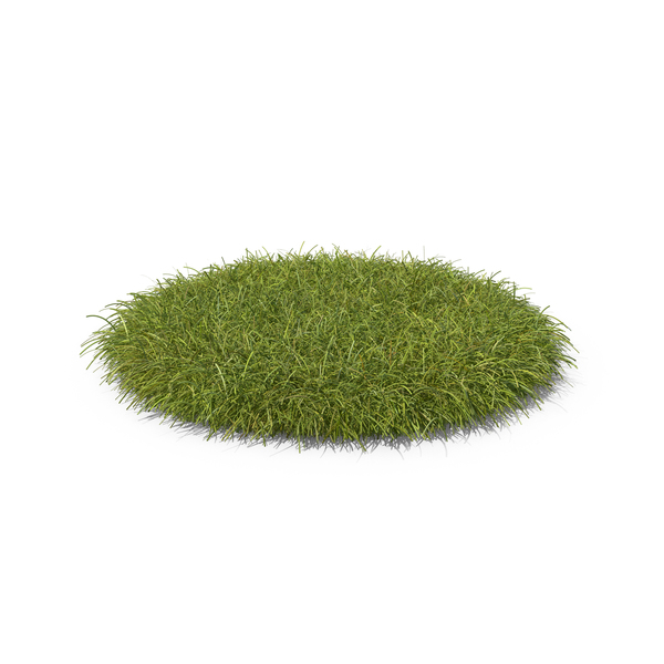 Grass Png Images Psds For Download Pixelsquid S111242387,Half Square Triangles 4 At A Time