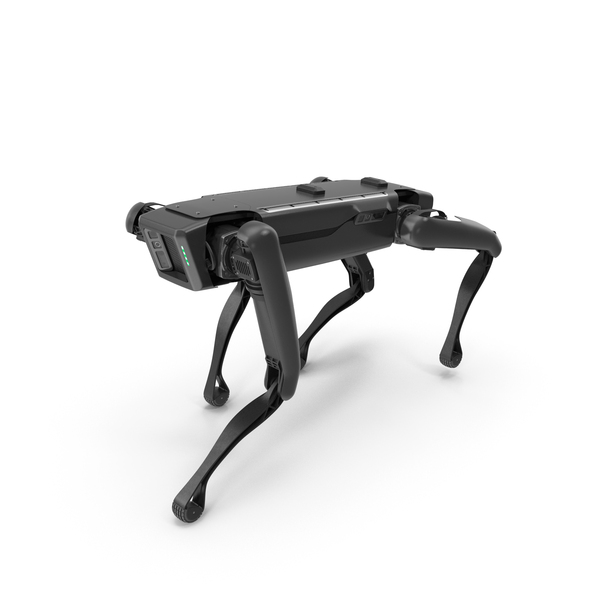 grey robot dog