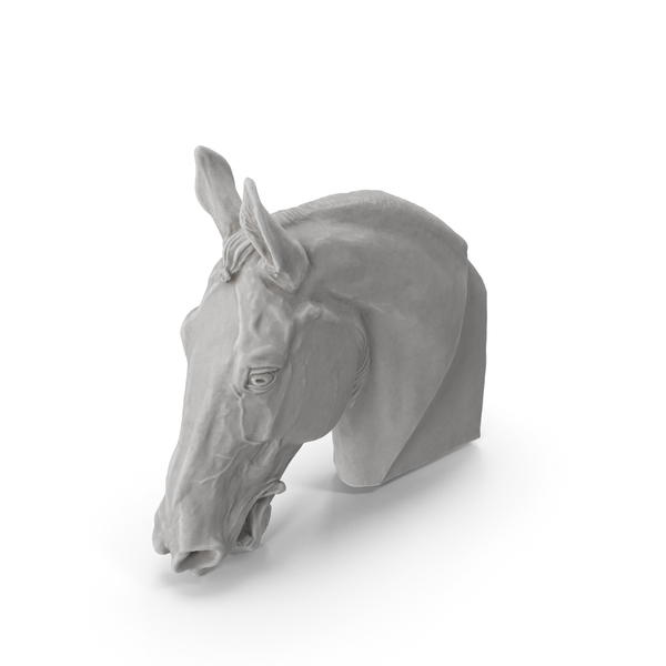Horse Head Sculpture PNG Images & PSDs for Download | PixelSquid ...