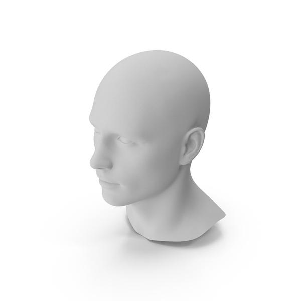 Mannequin head 3D model