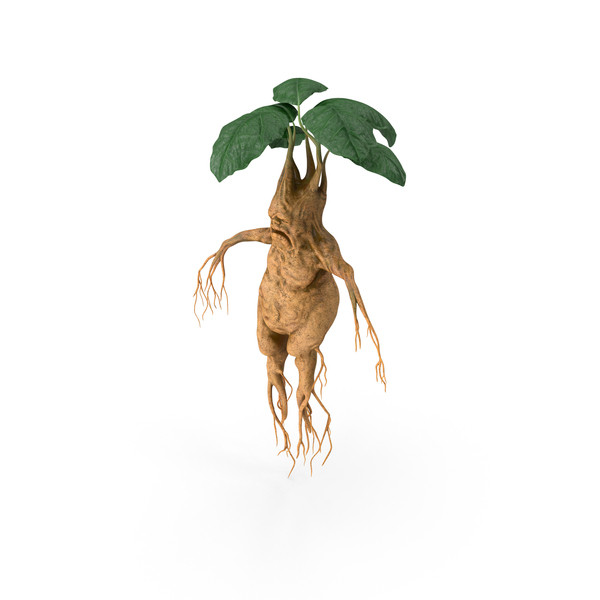 Mandragora Images - Free Download on Freepik