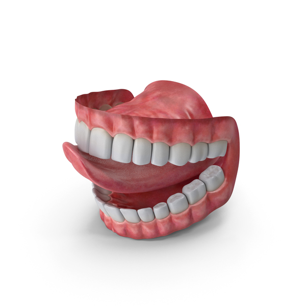 Mouth PNG Images & PSDs for Download | PixelSquid - S11616354C Mouth PNG Images & PSDs for Download | PixelSquid - S11616354C