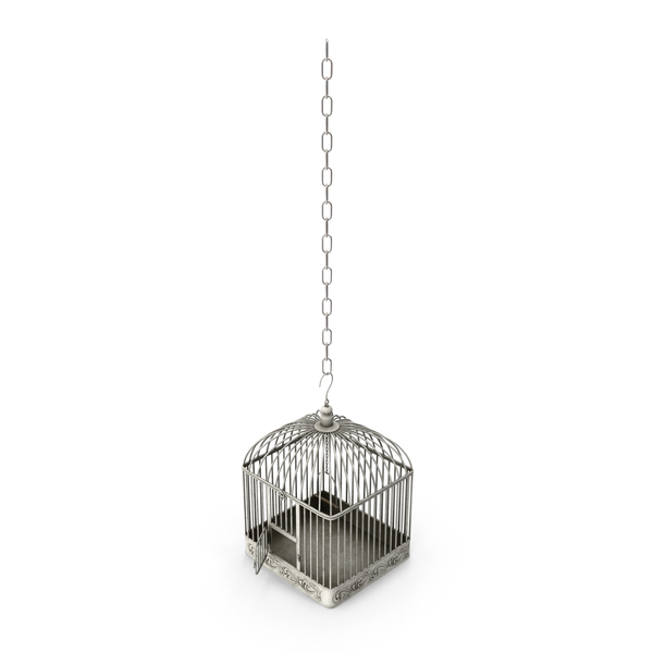 open bird cage png
