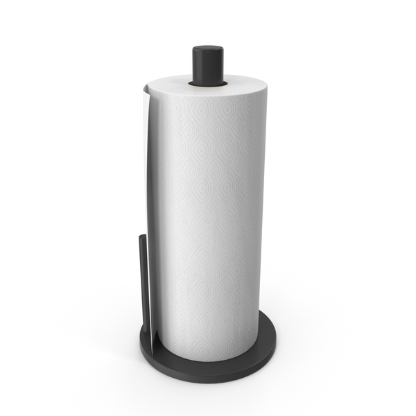 BERNADOTTE functional paper towel holder in stainless steel