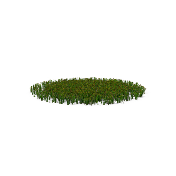 Patch Of Grass Png Images & Psds For Download 