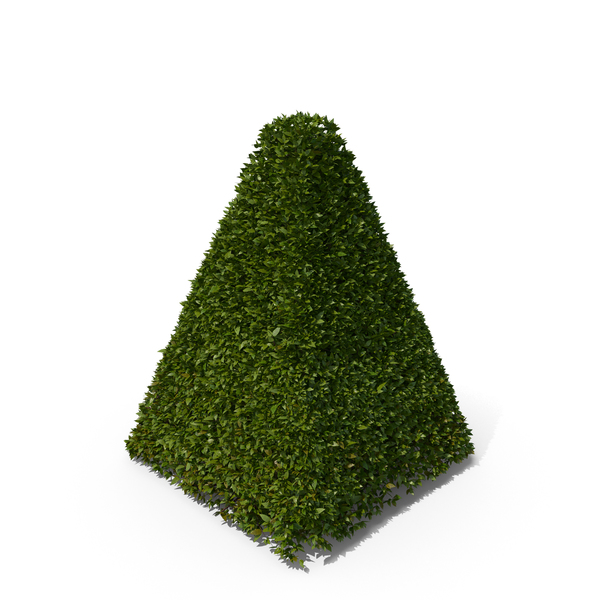 Pyramid Head Tree png download - 1081*612 - Free Transparent Pyramid Head  png Download. - CleanPNG / KissPNG