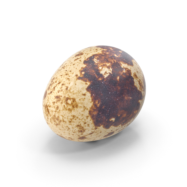 Gold Egg png download - 1024*963 - Free Transparent Quail png Download. -  CleanPNG / KissPNG