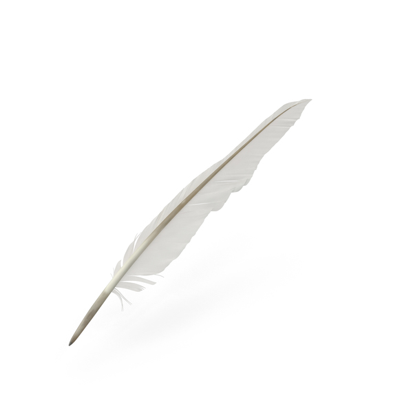Feather Pen PNG Transparent Images Free Download