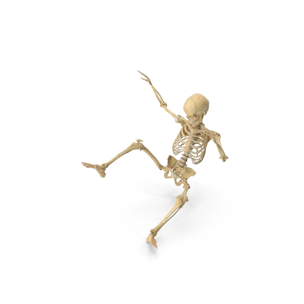 Real Human Female Skeleton Falling PNG Images & PSDs for Download