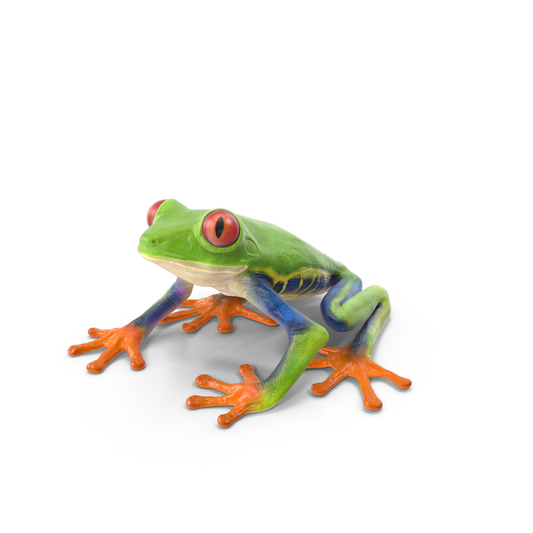 Toy Frog PNG Images & PSDs for Download