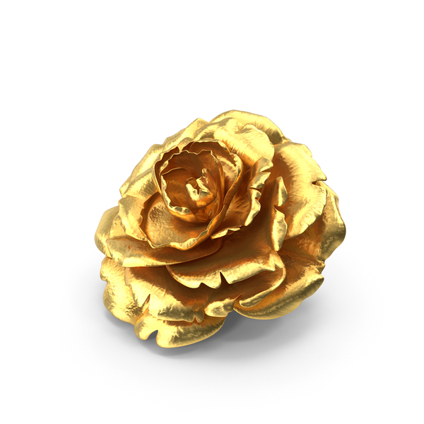 Rose Golden Bud Png Images & Psds For Download 