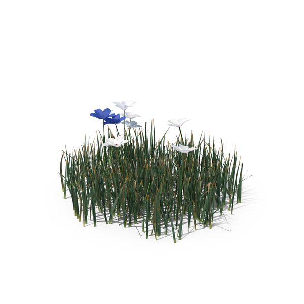 Simple Grass (Small) PNG Images & PSDs for Download | PixelSquid