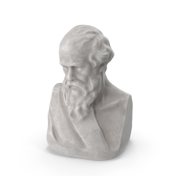 Socrate Bust PNG Images & PSDs for Download | PixelSquid - S116781174