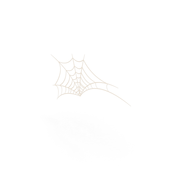 Spider Web Cartoon PNG Images & PSDs for Download | PixelSquid - S11270224C