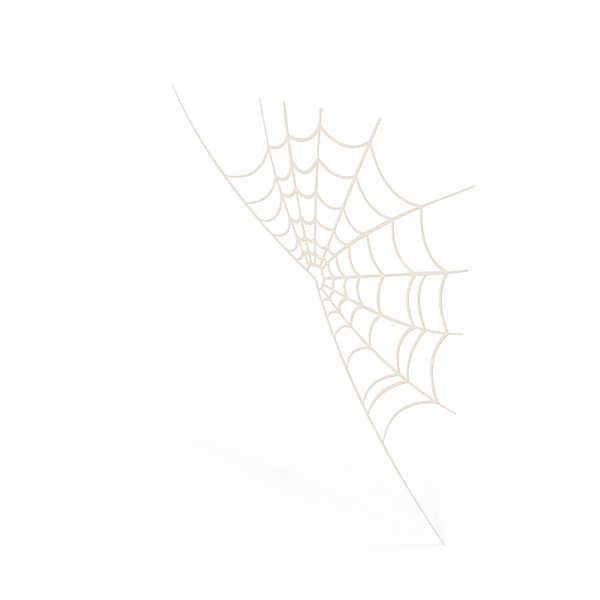 Spider Web Cartoon PNG Images & PSDs for Download | PixelSquid - S112740176