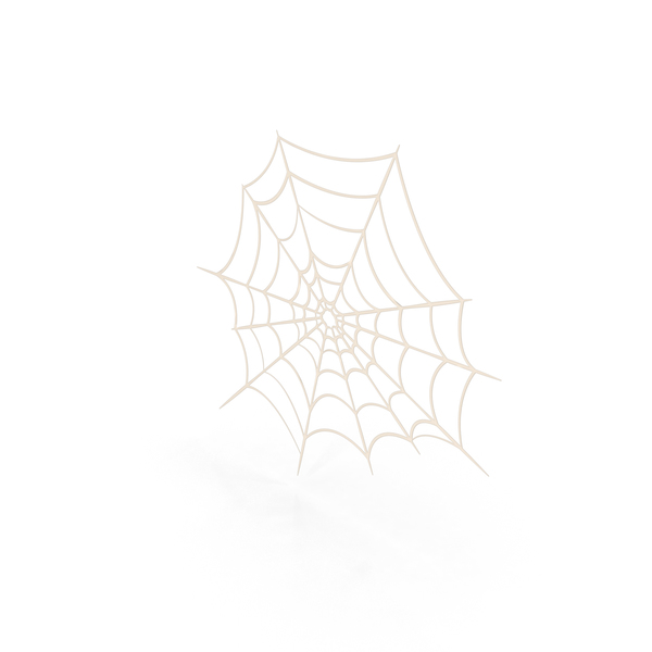 Spider Web Cartoon PNG Images & PSDs for Download | PixelSquid - S112740234