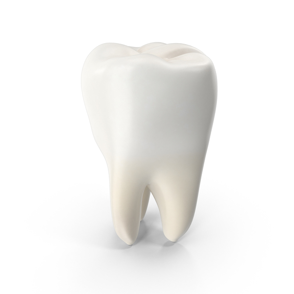 Tooth Png Images Psds For Download Pixelsquid S
