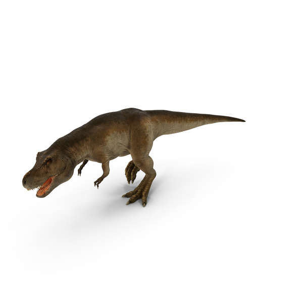 T RexTyrannosaurus Rex Png T Rex Dinosaur Png Dinosaur Png 