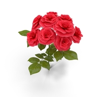 玫瑰灌木PNG和PSD图像