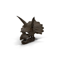 Triceratops Skull Fossil PNG & PSD Images