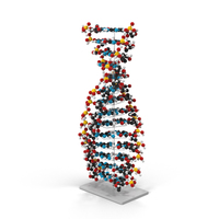 DNA模型PNG和PSD图像