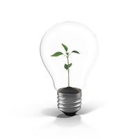 Plant in a Light Bulb PNG & PSD Images