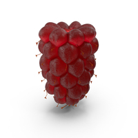 Loganberry PNG & PSD Images