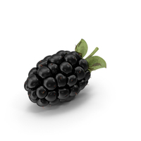 黑莓PNG和PSD图像