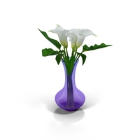 Calla Lilly in Blue Vase PNG & PSD Images