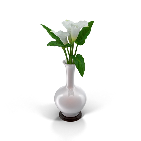 花瓶PNG和PSD图像中的Calla百合花