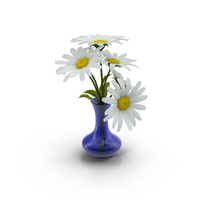 Vase Full of Daisies PNG & PSD Images