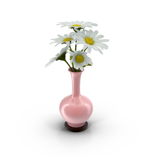 Vase Full Of Daisies PNG & PSD Images