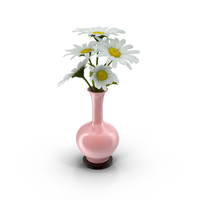Vase Full Of Daisies PNG & PSD Images