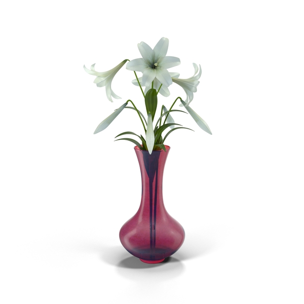 Easter Lilly in Purple Vase PNG & PSD Images