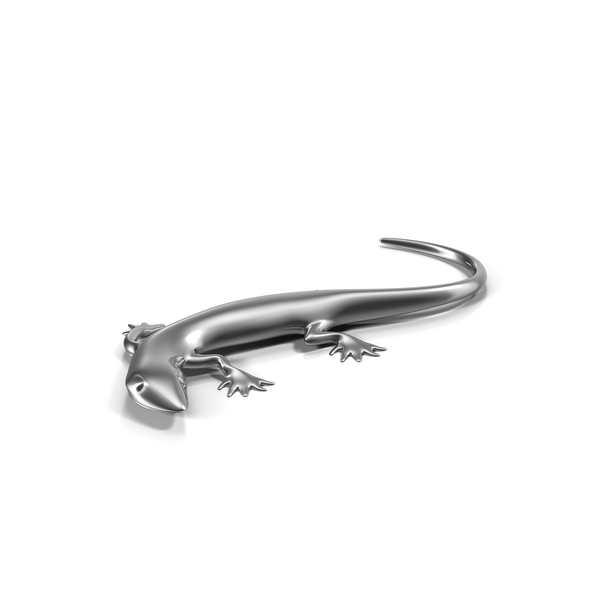 Lizard PNG & PSD Images